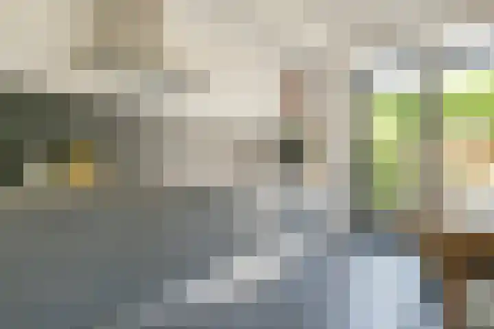Scharwoudestraat 7 Amersfoort thumbnail 9