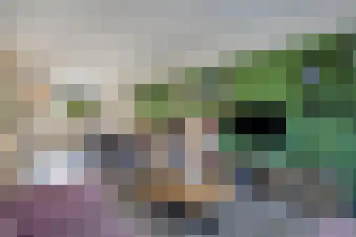 Scharwoudestraat 7 Emmeloord thumbnail 11