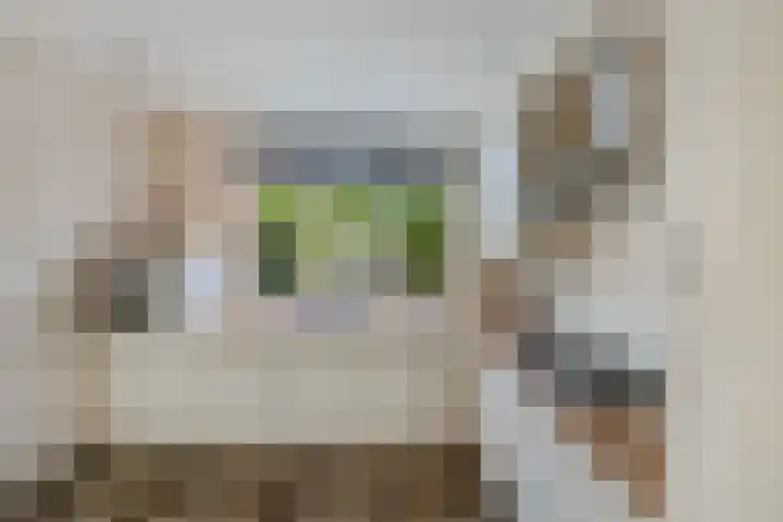 Scharwoudestraat 7 Emmeloord thumbnail 14