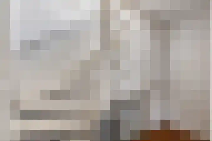 Scharwoudestraat 7 Emmeloord thumbnail 24