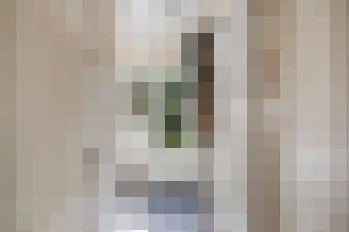 Scharwoudestraat 7 Emmeloord thumbnail 30