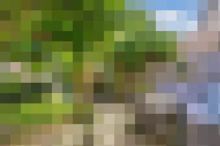 Scharwoudestraat 7 Emmeloord thumbnail 32