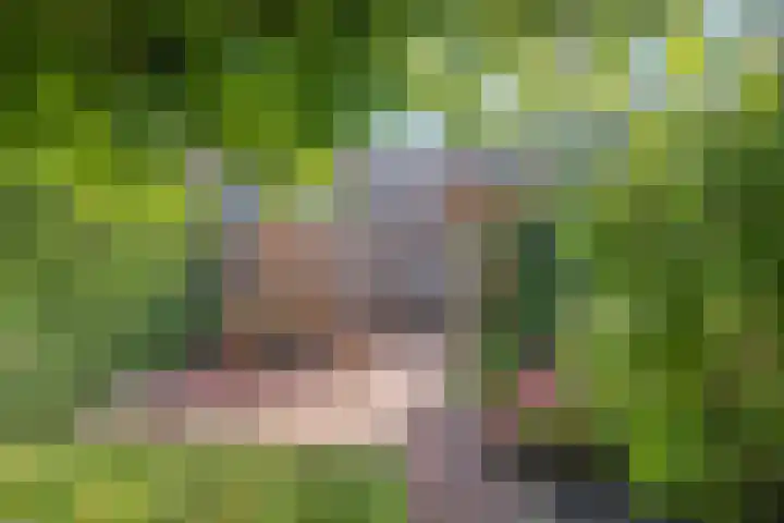 Scharwoudestraat 7 Emmeloord thumbnail 33