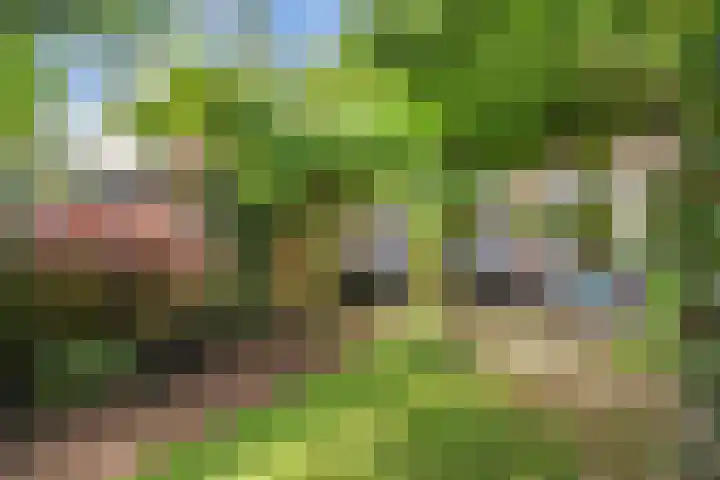 Scharwoudestraat 7 Emmeloord thumbnail 36
