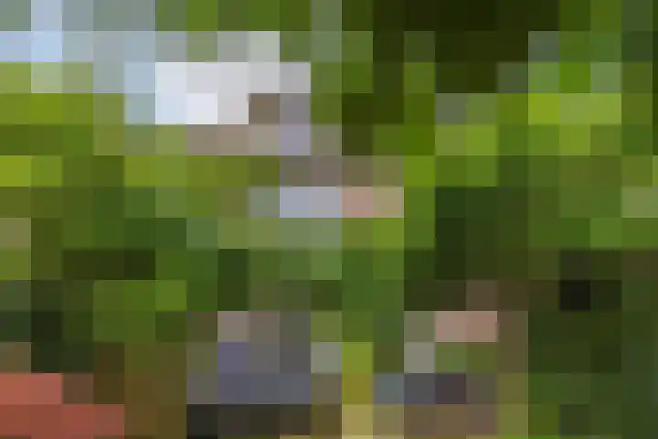 Scharwoudestraat 7 Emmeloord thumbnail 37