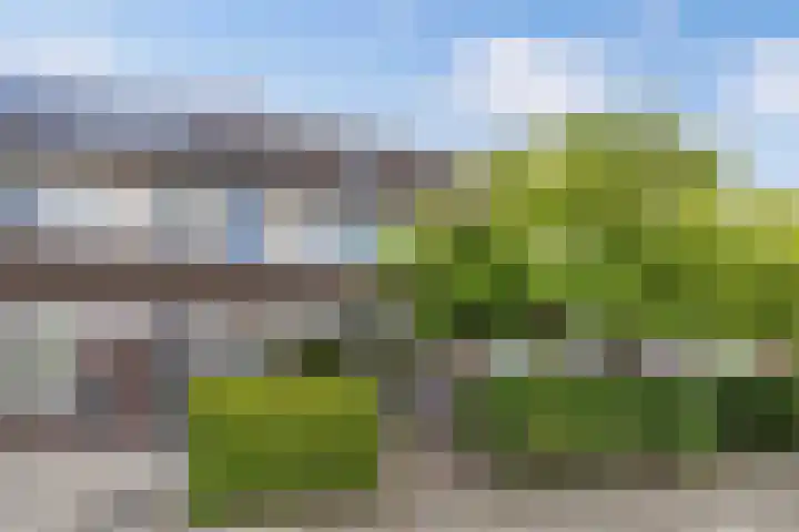 Scharwoudestraat 7 Emmeloord thumbnail 4