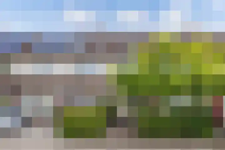 Scharwoudestraat 7 Emmeloord thumbnail 42