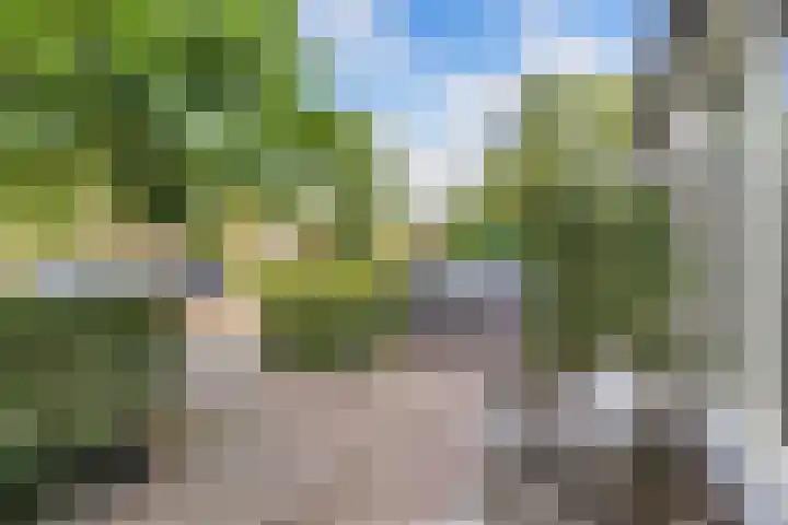 Scharwoudestraat 7 Emmeloord thumbnail 6