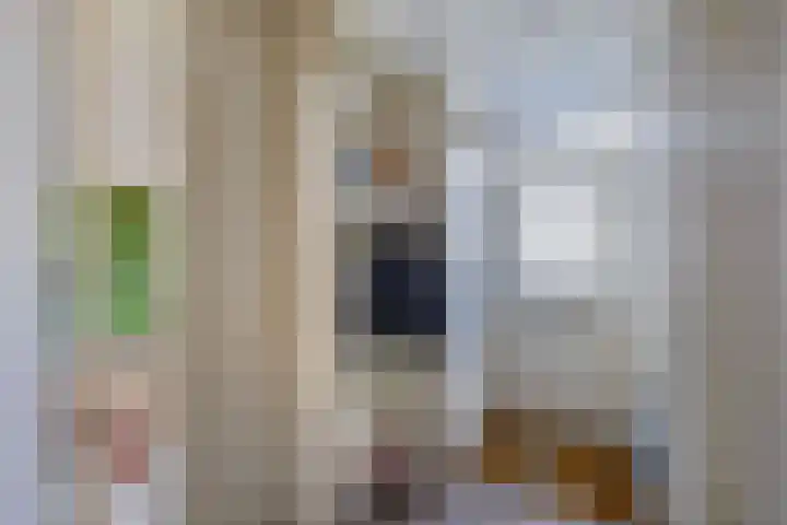 Scharwoudestraat 7 Emmeloord thumbnail 9
