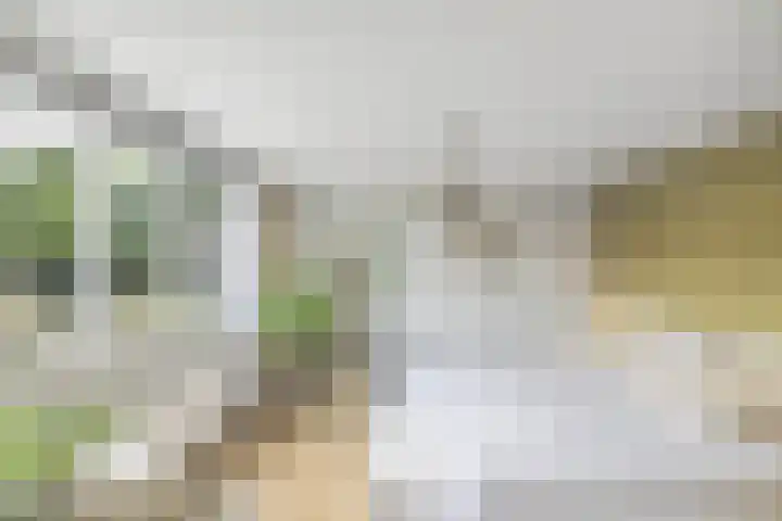 Scharwoudestraat 8 Emmeloord thumbnail 12