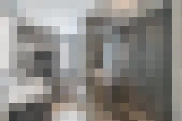 Scharwoudestraat 8 Emmeloord thumbnail 17