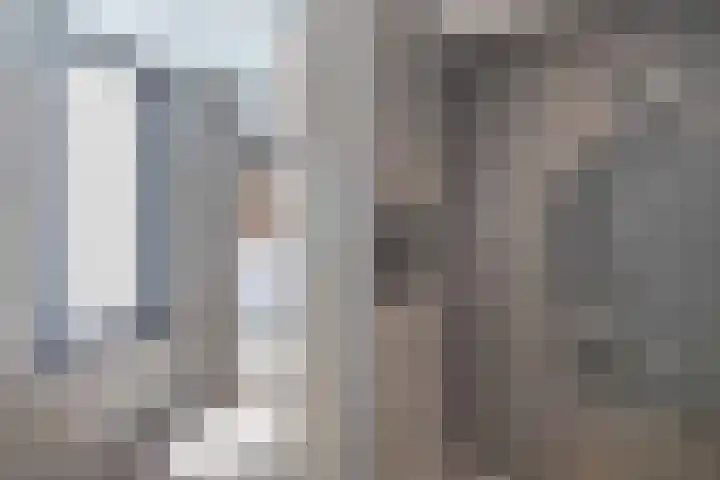Scharwoudestraat 8 Emmeloord thumbnail 18