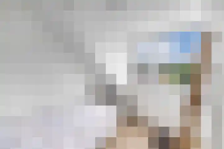 Scharwoudestraat 8 Emmeloord thumbnail 26