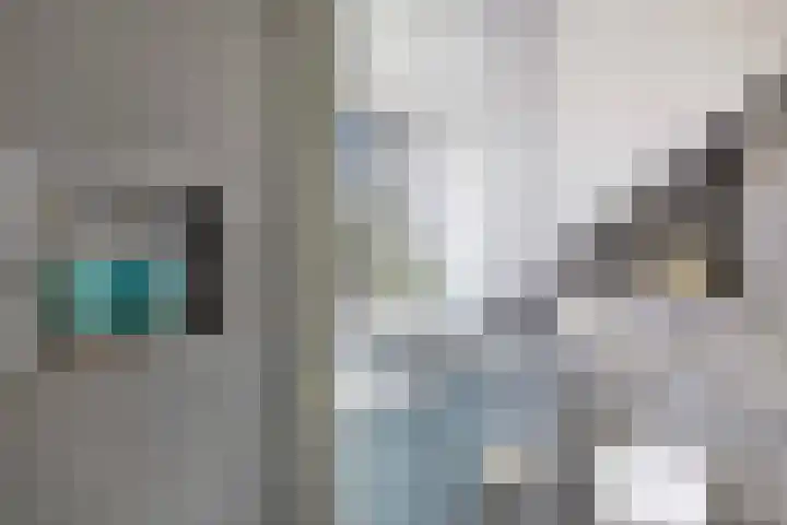 Scharwoudestraat 8 Emmeloord thumbnail 31