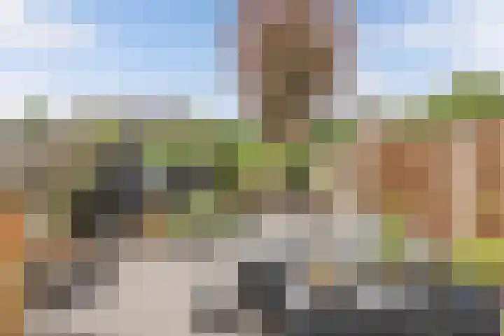 Scharwoudestraat 8 Emmeloord thumbnail 33