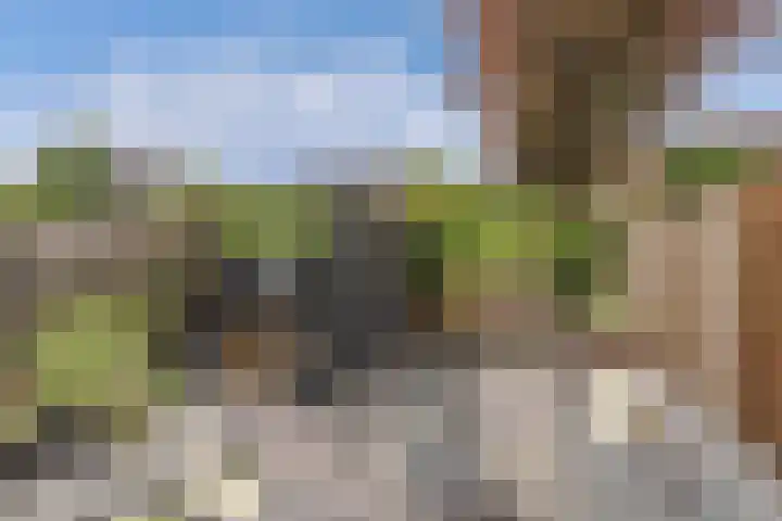 Scharwoudestraat 8 Emmeloord thumbnail 34