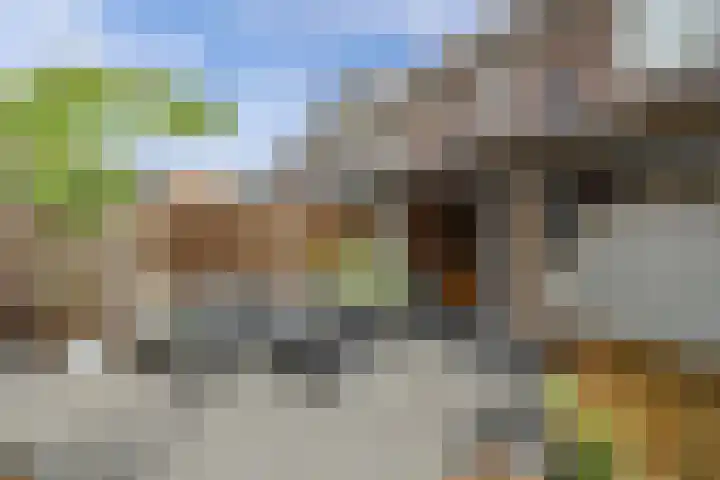 Scharwoudestraat 8 Emmeloord thumbnail 35
