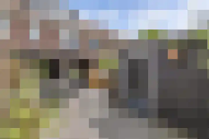 Scharwoudestraat 8 Emmeloord thumbnail 37