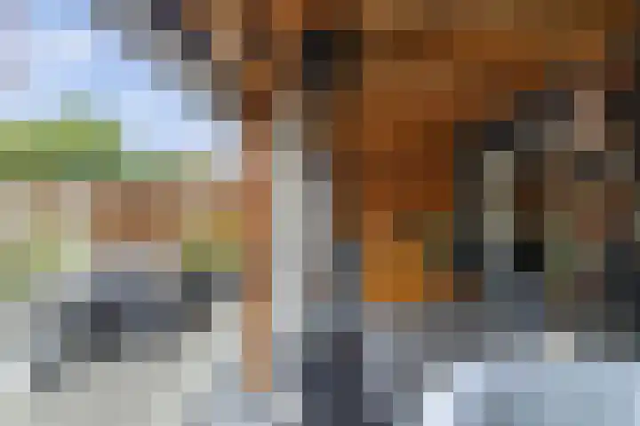 Scharwoudestraat 8 Emmeloord thumbnail 39