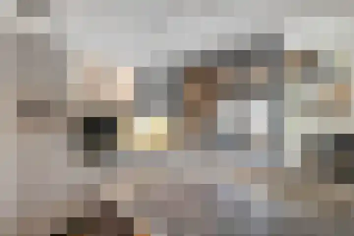 Scharwoudestraat 8 Emmeloord thumbnail 9