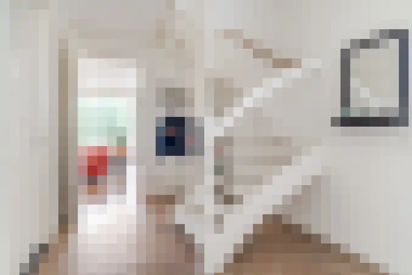 Scharwoudestraat 92 Tilburg thumbnail 18