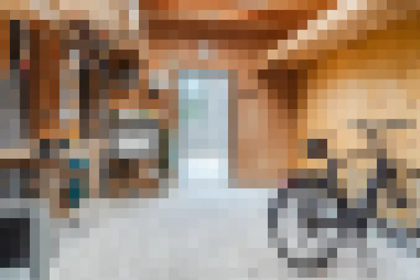 Scharwoudestraat 92 Tilburg thumbnail 46
