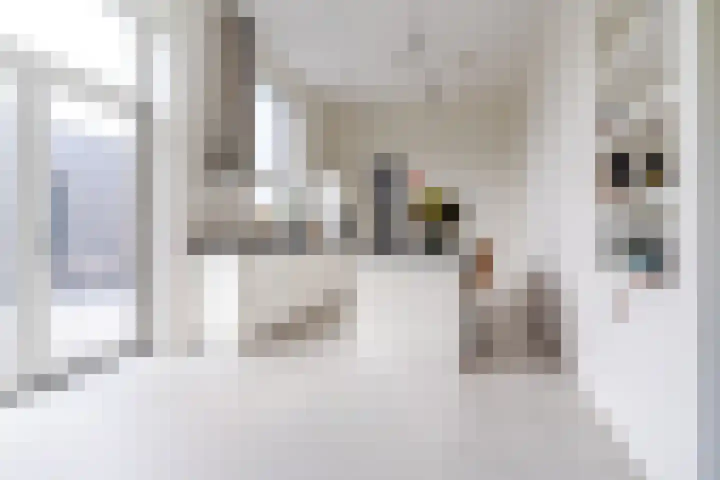 Scharwoudestraat 92 Tilburg thumbnail 8