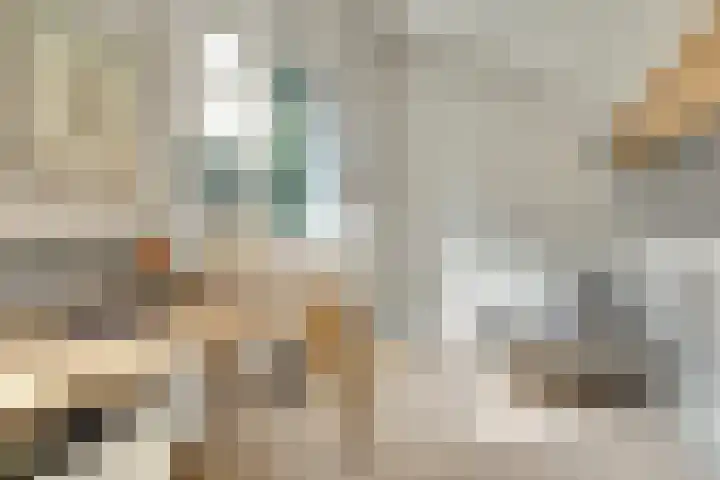 Schaterland 12 Ellecom thumbnail 10