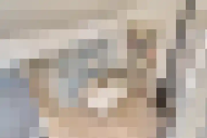 Schaterland 12 Ellecom thumbnail 13