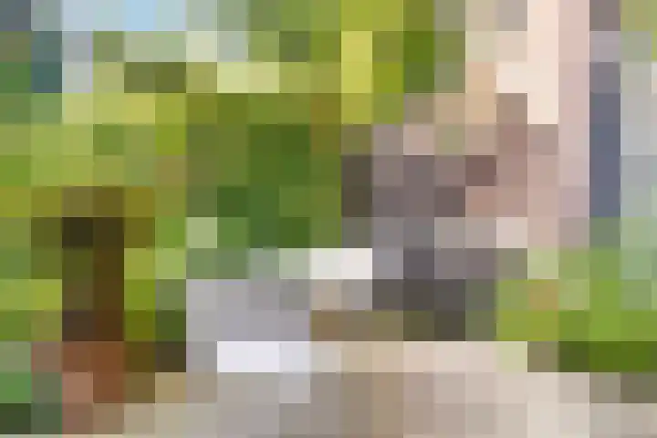 Schaterland 12 Ellecom thumbnail 20