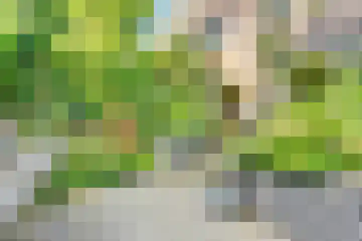 Schaterland 12 Ellecom thumbnail 21