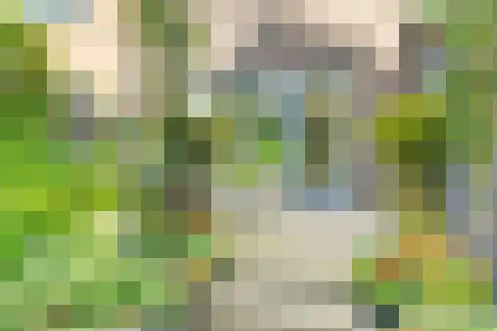 Schaterland 12 Ellecom thumbnail 22