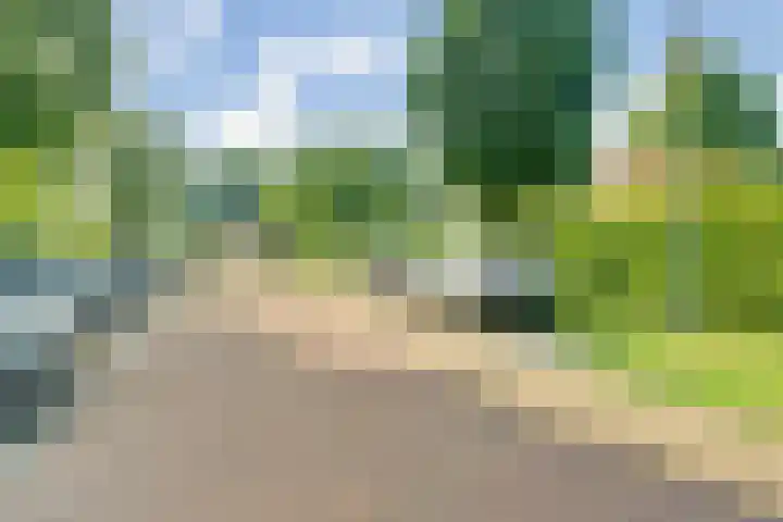 Schaterland 12 Ellecom thumbnail 27
