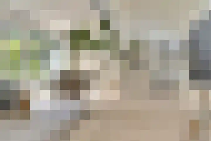 Schaterland 12 Ellecom thumbnail 6