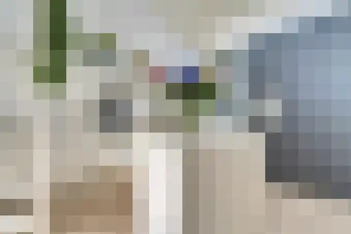 Schaterland 12 Ellecom thumbnail 7