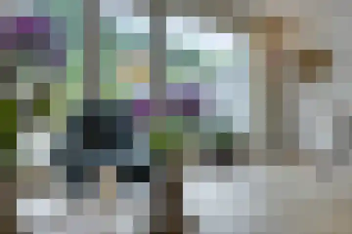 Schaterland 7 Ellecom thumbnail 15