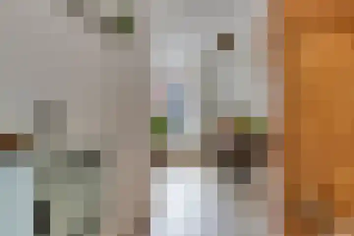 Schaterland 7 Ellecom thumbnail 16