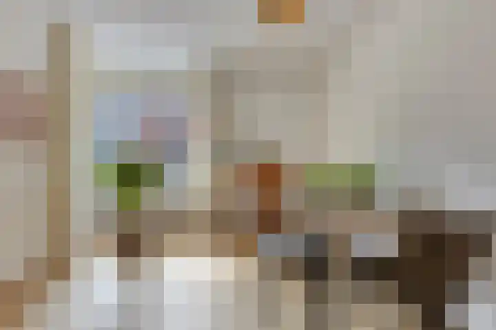 Schaterland 7 Ellecom thumbnail 17