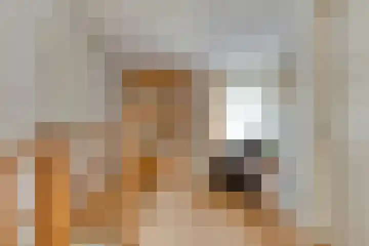 Schaterland 7 Ellecom thumbnail 26