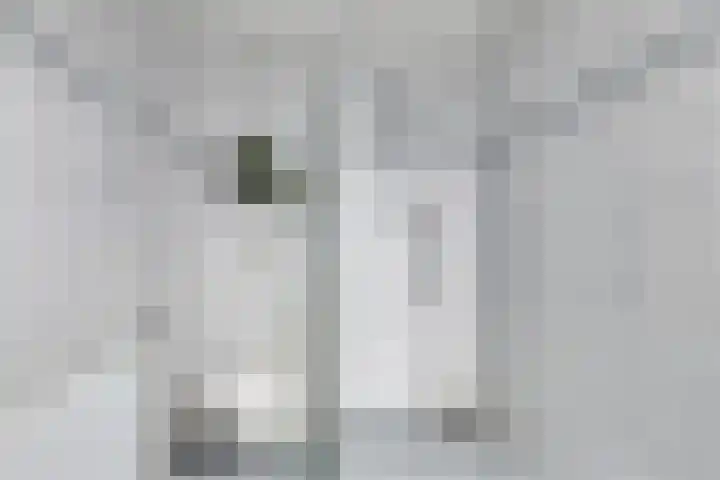 Schaterland 7 Ellecom thumbnail 32