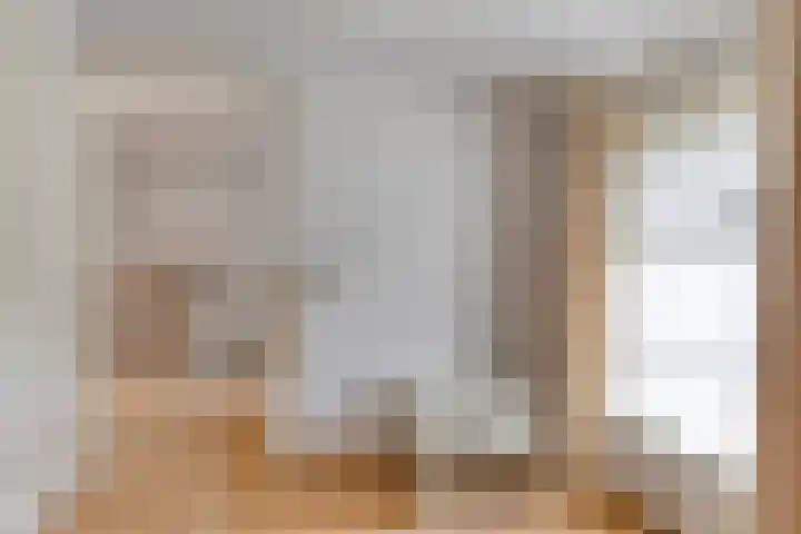 Schaterland 7 Ellecom thumbnail 37