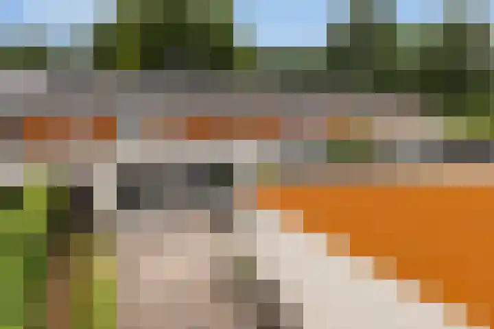 Schaterland 7 Ellecom thumbnail 43