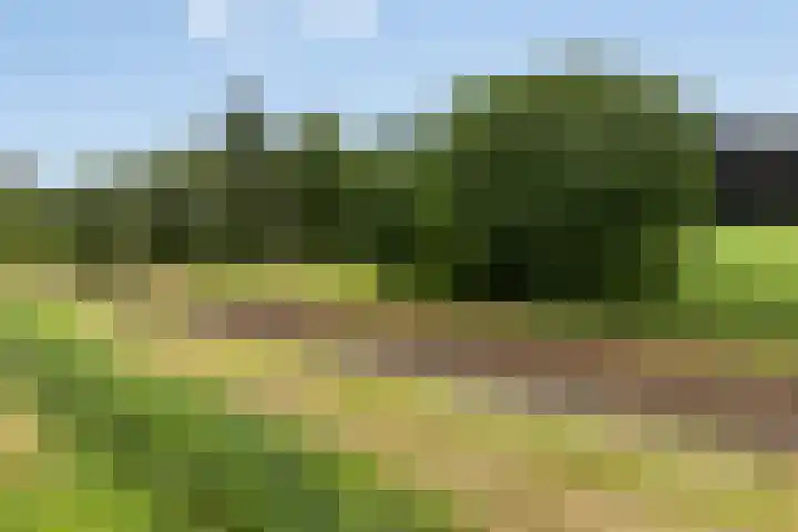 Schaterland 7 Ellecom thumbnail 53