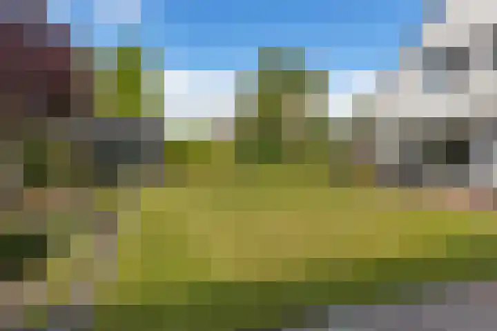 Schathuis 3 Delfzijl thumbnail 12