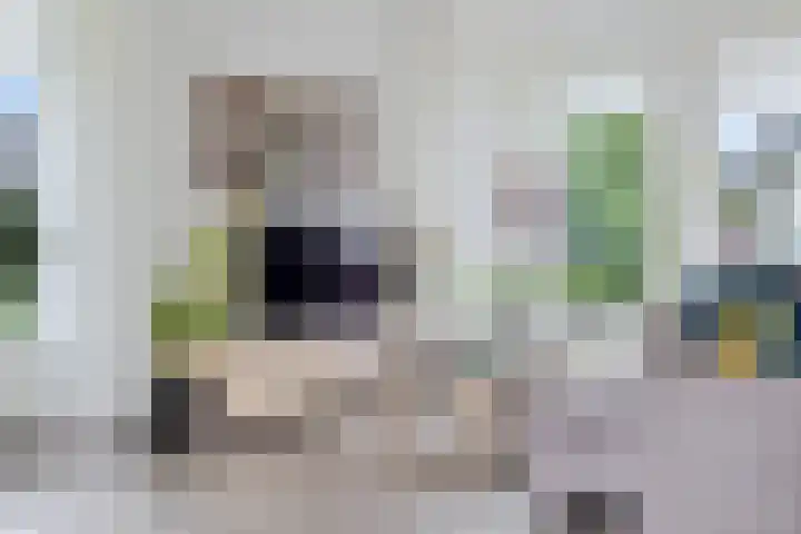 Schathuis 3 Delfzijl thumbnail 20