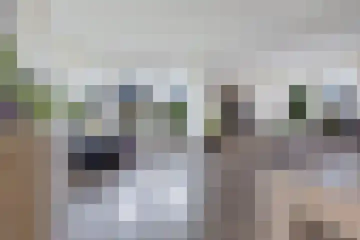 Schathuis 3 Delfzijl thumbnail 23