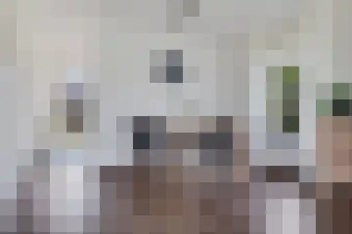 Schathuis 3 Delfzijl thumbnail 25