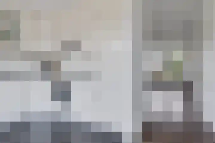 Schathuis 3 Delfzijl thumbnail 27