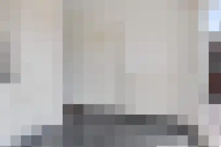 Schathuis 3 Delfzijl thumbnail 30