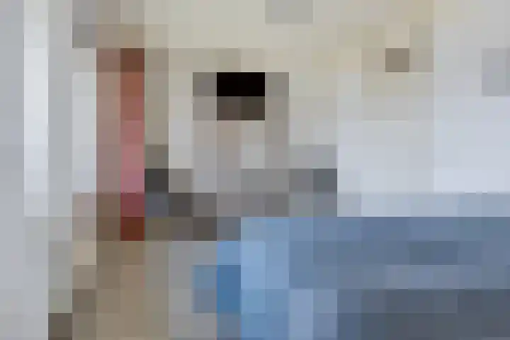 Schathuis 3 Delfzijl thumbnail 36